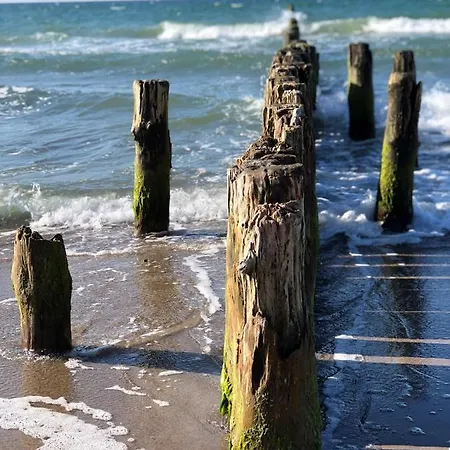 Kwi 63 Og Appartement